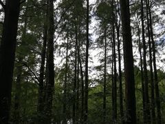 -新江湾城公园