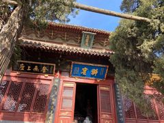 -洛阳白马寺