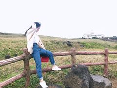 -涉地可支