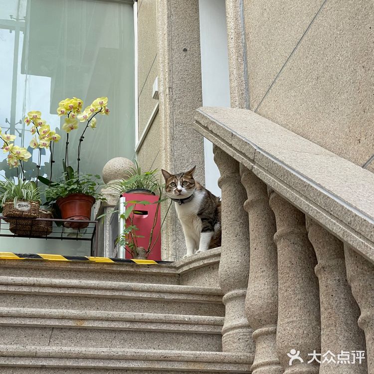 姨妈热饮丨关爱女性的饮品🥤