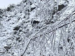 -九峰山