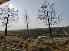 -漩门湾国家湿地公园