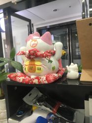-凡碧诗毛孔收细