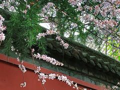 -西安市广仁寺