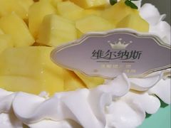 -维尔纳斯·生日蛋糕·动物奶油冰淇淋蛋糕(六里桥店)