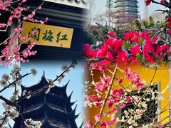 -红梅公园