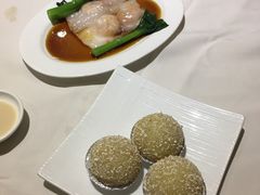 -富豪酒家(正大广场店)