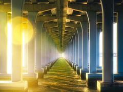 -宝安西湾红树林湿地公园