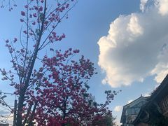 -大理床单厂艺术区