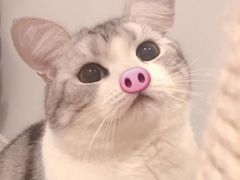 -1点点(银座和谐广场店)