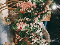 -中铁花水湾四季温泉谷