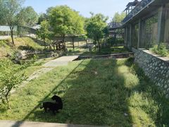 -石家庄市动物园