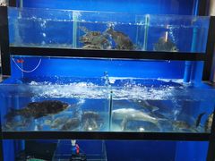 水产区-李东农庄(中南百草园地标店)