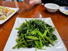 -品雅轩农家乐