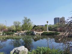-滨河世纪广场公园