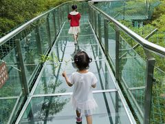 -陶祖圣境风景区