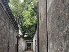 -天一阁博物院