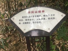 -伯先公园