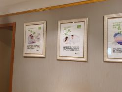 -Dr.林醫生产后修复·配方产康(南京江宁万达店)