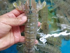 -正能量1号海鲜加工店