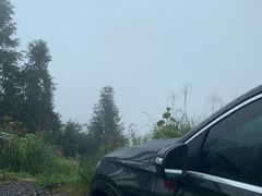 -紫鹊界梯田景区