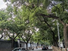 -程府宴(南长街四合院店)