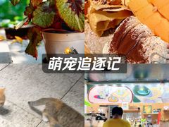 -谷咖啡·鲜花绿植花园餐厅