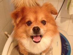 -美联众合动物医院·24h转诊中心