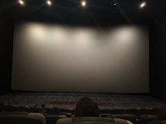 -深影国际影城(学院南路店CGS中国巨幕店)