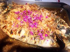 -鱼酷活鱼烤鱼(南京水游城店)