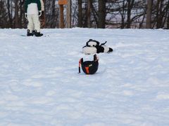 -长白山华美胜地滑雪场