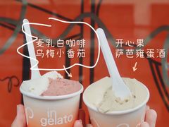 -Dip in Gelato(富民路店)