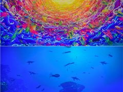 -海合安成都极地海洋公园