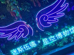 -迷斯伍德星空博物馆