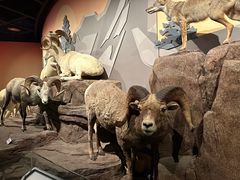 -陕西自然博物馆