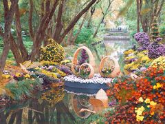 -上海共青森林公园