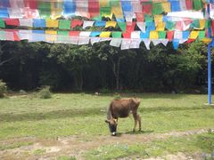 -比日神山