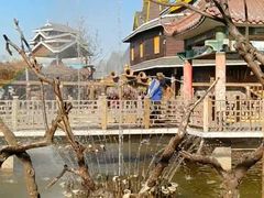 -呀路古热带植物园