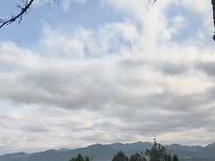 -分塔山省级森林公园