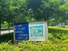 -南京奥林匹克体育中心-体育馆