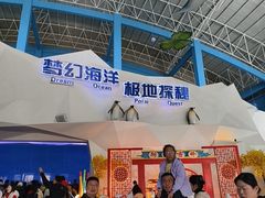 -泉城欧乐堡海洋极地世界