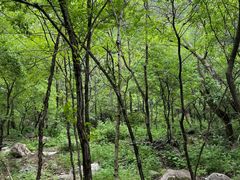 -玉渡山自然风景区