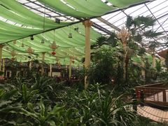 -陶然居·重庆菜(生态园店)
