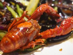 -红钳侠小龙虾·烧烤(中赢康康谷店)