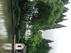 -瀛洲公园