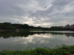 -东莞植物园