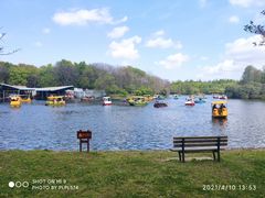 -上海共青森林公园