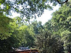 -岳麓山风景名胜区