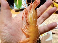 牡丹虾刺身-蟹将军·松叶蟹和牛日料放题自助(K11店)