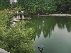 -环城公园-琥珀潭